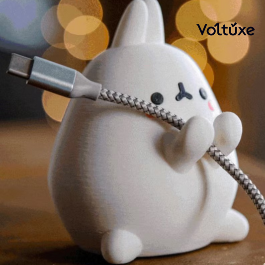 2pcs Kawaii Bunny Cable Holder