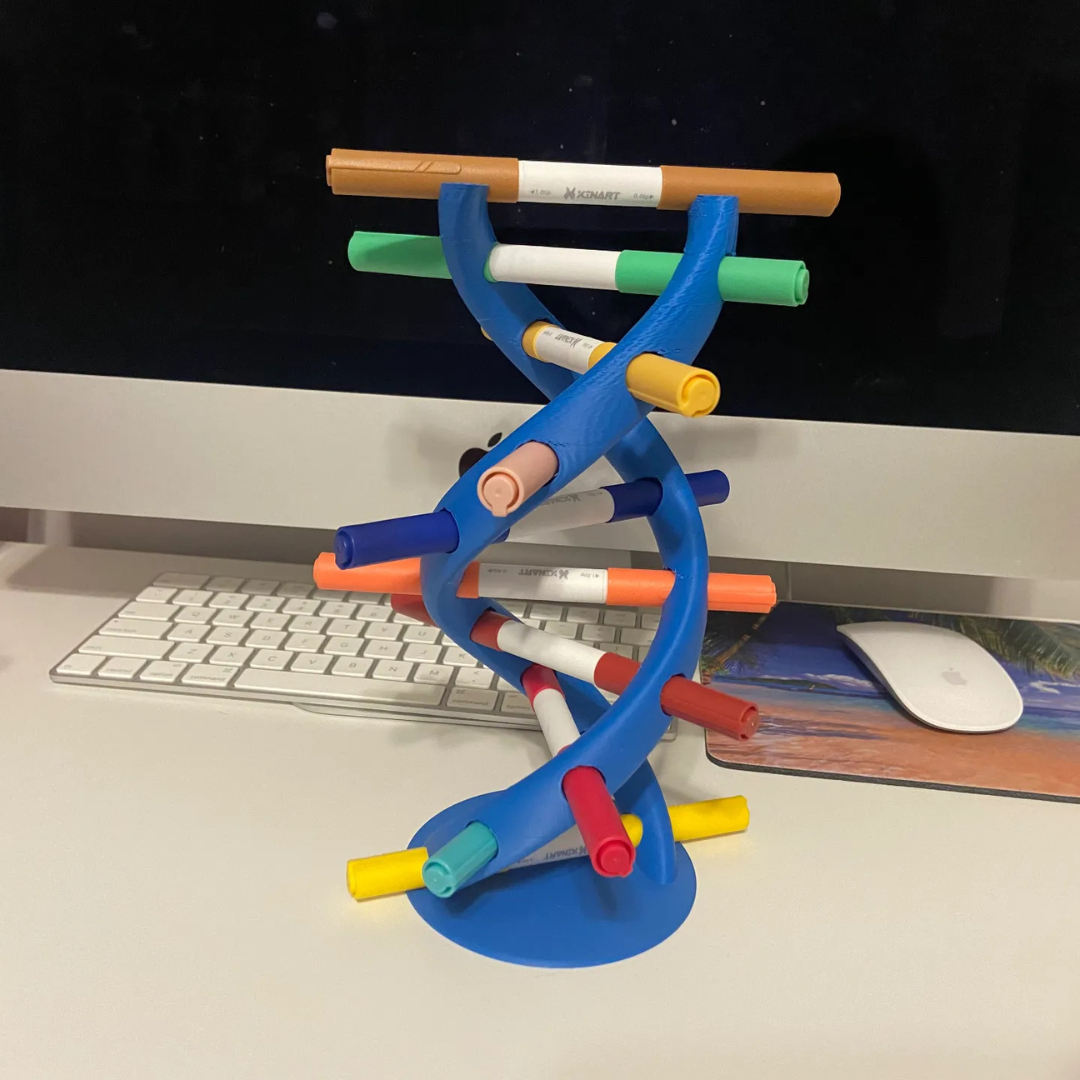 3D Printed DNA Pen Holder | Unique Scientific Desk Organizer | Perfect Gift for Science Lovers